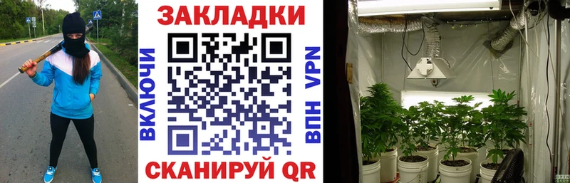Купить наркотики Лосино-Петровский Кокаин  Гашиш  МДМА  Марихуана  СОЛЬ  АМФЕТАМИН 