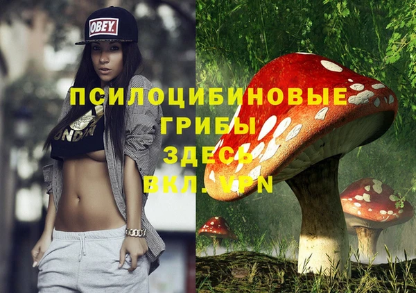 кокс Баксан
